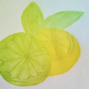 Lemon and lime Stock Illustration