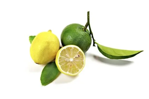 Lemon and lime Stock Photos
