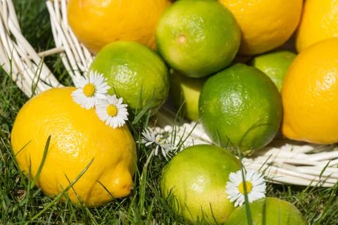 Lemon and lime Stock Photos