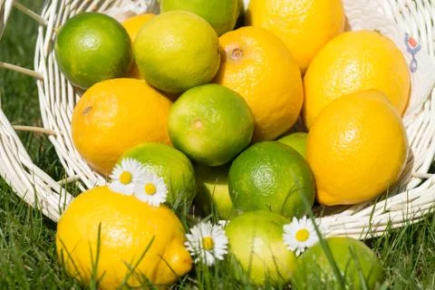 Lemon and lime Stock Photos