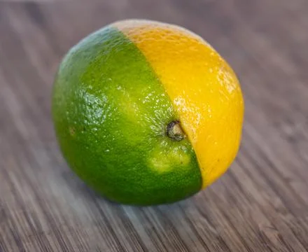 Lemon and Lime Stock Photos