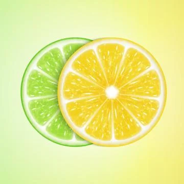 Lemon and lime slices Stock Illustration