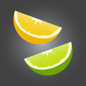 Lemon and lime slices with textured skin Stock Illustration