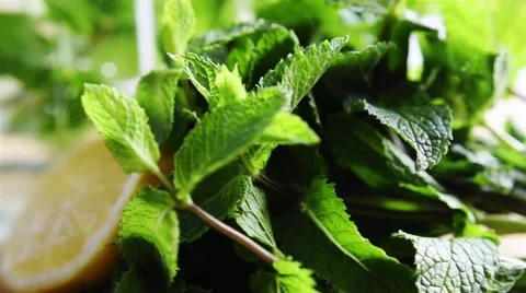 Lemon and mint drink Stock Footage 51450761