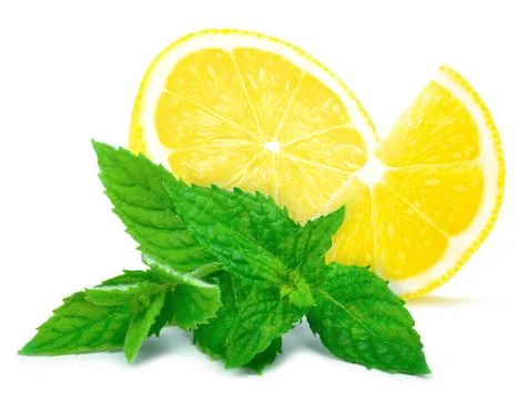 Lemon and mint Stock Photos