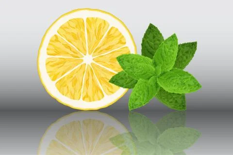 Lemon and mint reslistic vector illustration on grey background Stock Illustration