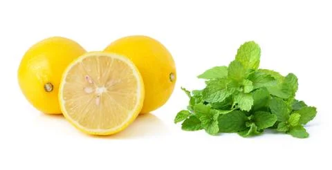 Lemon and mint on white background Stock Photos