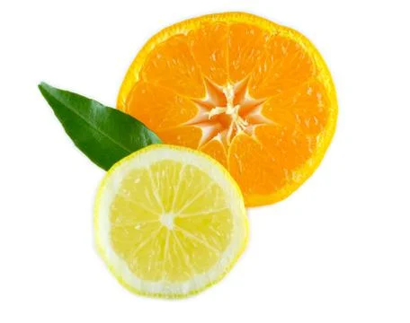 Lemon and orange Stock Photos
