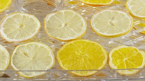 Lemon and orange slices drying in a food dehydrator Stock Footage 71114251