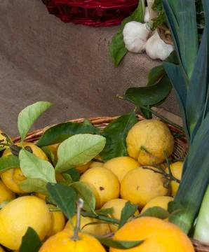 Lemon and oranges Stock Photos