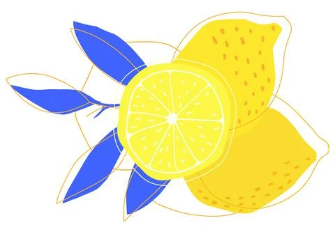 Lemon and slice doodle hand drawn illustration 스톡 일러스트
