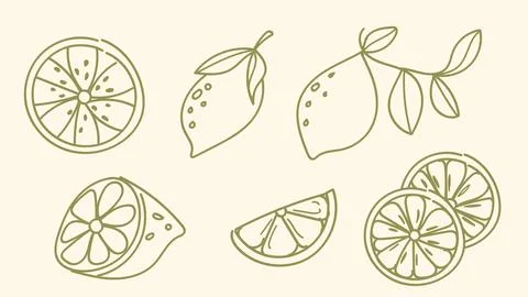 Lemon and Slice Doodle Line Art Hand Drawn Collection in Vintage Style for .. Stock Illustration