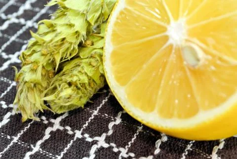 Lemon and tea Stock Photos