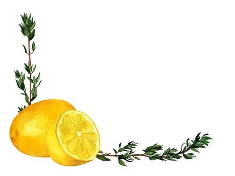Lemon and thyme aromatic kitchen herbs, watercolor frame, hand-painted compos Stock Illustration