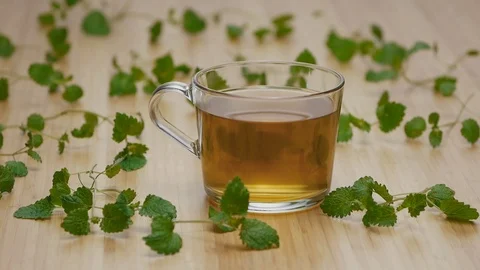 Lemon balm melissa green tea on wooden table slide to the right Stock Footage