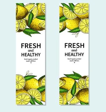 Lemon banner vector drawing. Citrus fruit frame template. Stock Illustration
