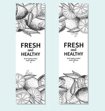 Lemon banner vector drawing. Citrus engraved fruit frame templat Stock Illustration