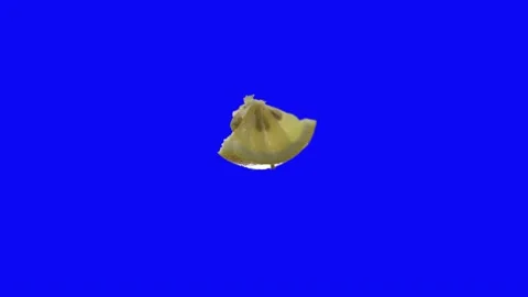 Lemon blue screen green screen 4k Stock Footage 171290222