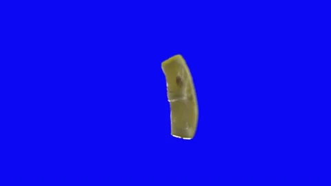 Lemon blue screen green screen 4k Stock Footage 171290306
