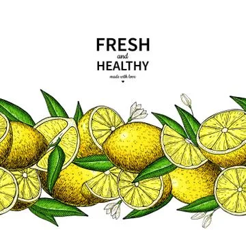 Lemon border vector drawing. Citrus fruit frame template. Stock Illustration