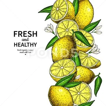 Lemon border vector drawing. Citrus fruit frame template. Stock Illustration