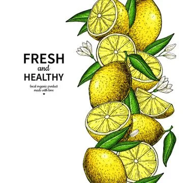 Lemon border vector drawing. Citrus fruit frame template. Stock Illustration