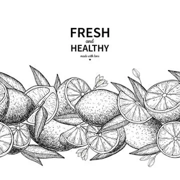Lemon border vector drawing. Citrus fruit engraved frame templat Stock Illustration