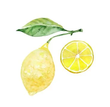 Lemon on a branch with a leaf and a slice of lemon. Watercolor illustration set Stock Illustration
