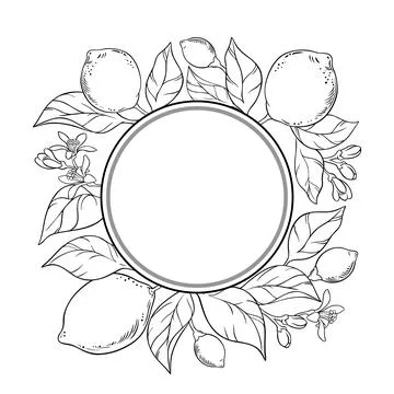 Lemon Branch Outline Round Frame. Stock Illustration
