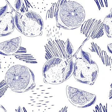 Lemon on a Branch Seamless Pattern. A vintage hand-drawn illustration in a sk Stockillustratie