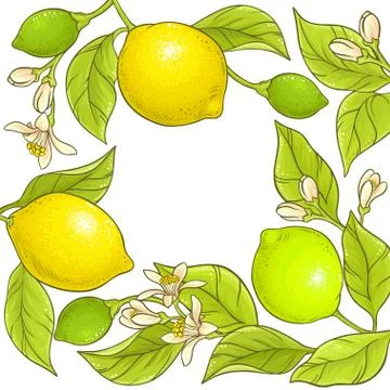 Lemon branch vector frame Stock Illustration