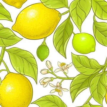Lemon branch vector pattern Illustrazione stock