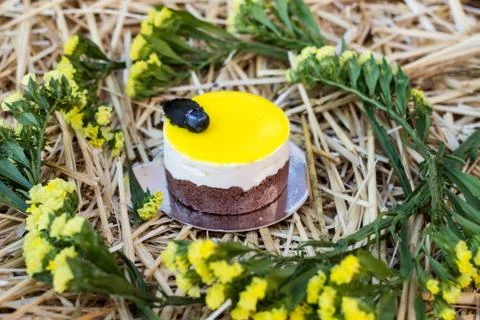 Lemon cake with blueberries Stock Photos