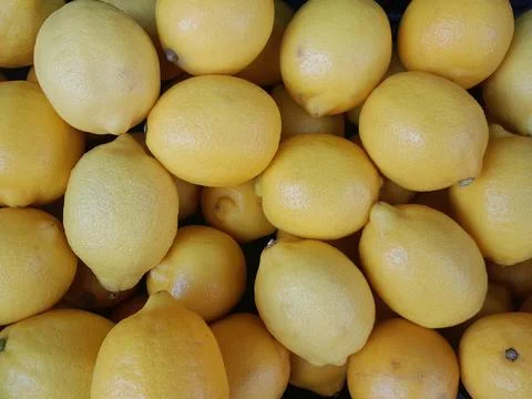 Lemon citrus fruit isolated background Stock Photos