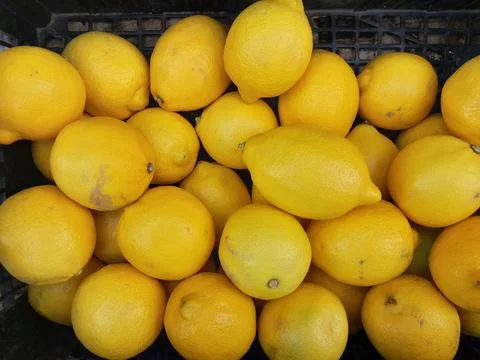 Lemon citrus fruit isolated background Stockfoto's