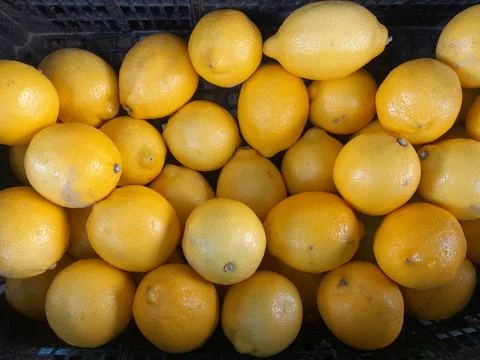 Lemon citrus fruit isolated background Stockfoto's