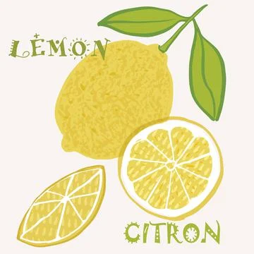 Lemon citrus fruit vector illustration. Colorful textured modern design. Stock Illustration