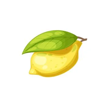 Lemon citrus with green leaf isolated one fruit Stock Illustration