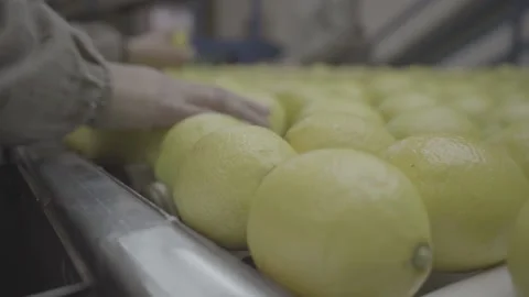 LEMON CLOSE FACTORY SLOG 2 SLOW Stock Footage 134217136