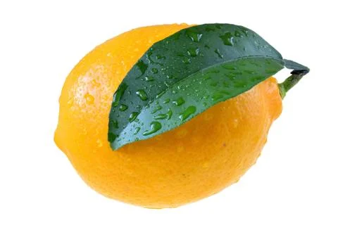 Lemon close up with leaf isolated Stock Photos