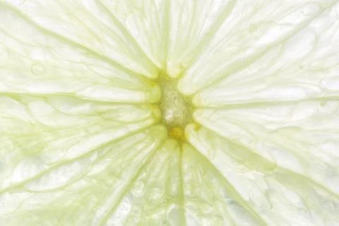 Lemon close up Stock Photos