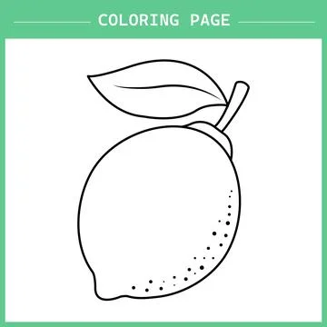 Lemon Coloring Page Vector イラスト素材
