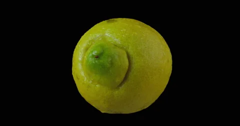Lemon cut in half with black background Stock Footage 233569796