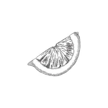 Lemon cut segment of fruit hand drawn sketch style vector illustration isolated. Illustrazione stock