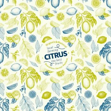 Lemon design template. Fruit seamless pattern. Hand drawn vector fruit Stock Illustration