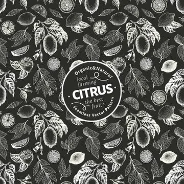 Lemon design template. Fruit seamless pattern. Hand drawn vector fruit Stock Illustration