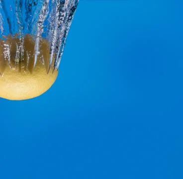 Lemon diving 库存照片