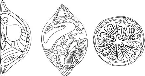 Lemon doodle slice set isolate on white. Vector illustration. Stock Illustration