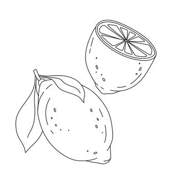 Lemon doodle Vector illustration coloring book for Kids Stock Illustration