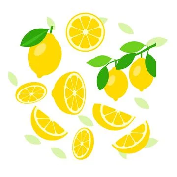 Lemon elements abstract vector design background Stock Illustration